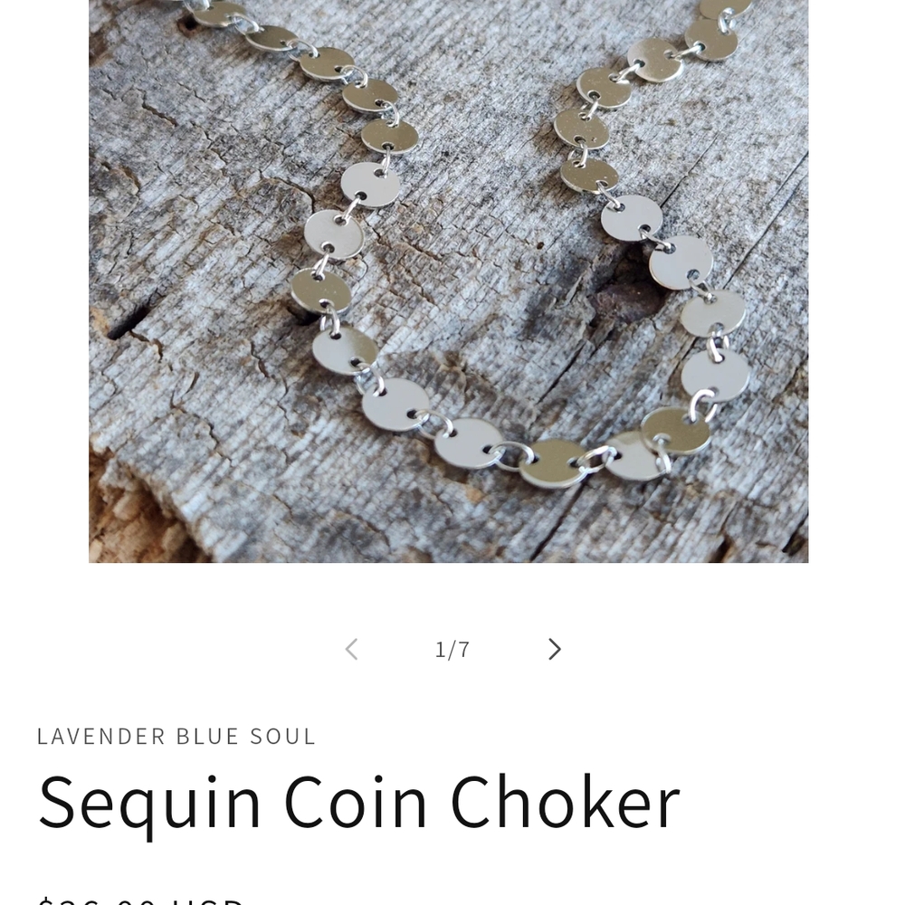 Silver Disc Choker Necklace